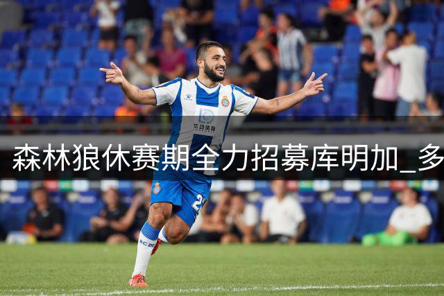 森林狼休赛期全力招募库明加 多位高层球员参与游说